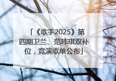 《歌手2025》第四期卫兰、范玮琪双补位，竞演歌单公布