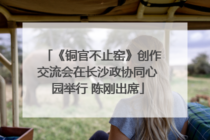 《铜官不止窑》创作交流会在长沙政协同心园举行 陈刚出席