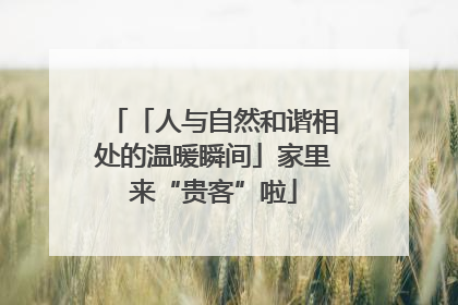 「人与自然和谐相处的温暖瞬间」家里来“贵客”啦