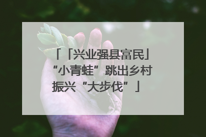 「兴业强县富民」“小青蛙”跳出乡村振兴“大步伐”