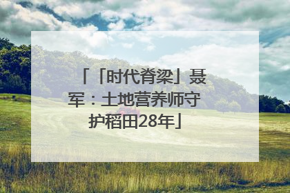 「时代脊梁」聂军：土地营养师守护稻田28年