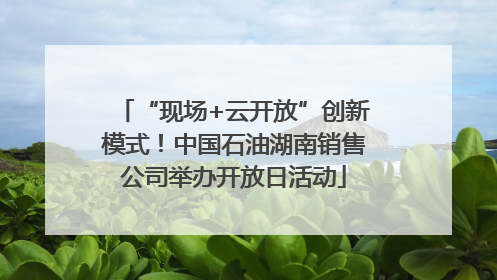 “现场+云开放”创新模式！中国石油湖南销售公司举办开放日活动