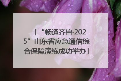 “畅通齐鲁·2025”山东省应急通信综合保障演练成功举办