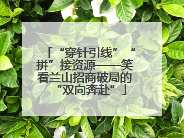 “穿针引线”“拼”接资源——笑看兰山招商破局的“双向奔赴”