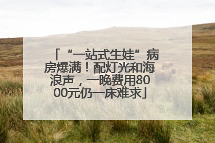 “一站式生娃”病房爆满！配灯光和海浪声，一晚费用8000元仍一床难求