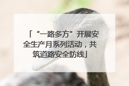 “一路多方”开展安全生产月系列活动，共筑道路安全防线