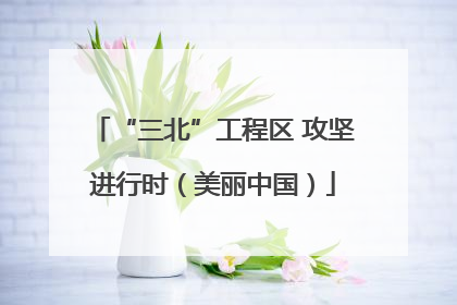 “三北”工程区 攻坚进行时（美丽中国）