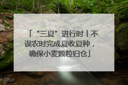 “三夏”进行时丨不误农时完成夏收夏种，确保小麦颗粒归仓