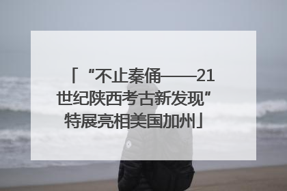 “不止秦俑——21世纪陕西考古新发现”特展亮相美国加州