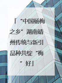 “中国杨梅之乡”湖南靖州传统与新引品种共绽“梅”好