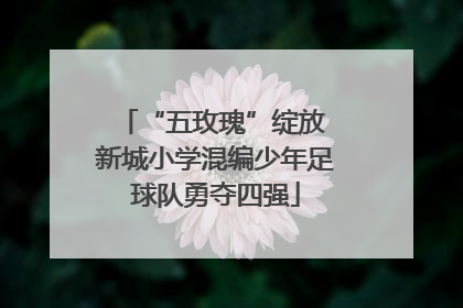 “五玫瑰”绽放 新城小学混编少年足球队勇夺四强