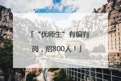“优师生”有编有岗，招800人！