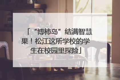 “博柿岛”结满智慧果！松江这所学校的学生在校园里探险