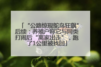 “公路惊现鸵鸟狂飙”后续：养殖户称它与同类打闹后“离家出走”，跑了1公里被找回