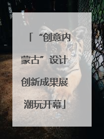 “创意内蒙古”设计创新成果展潮玩开幕
