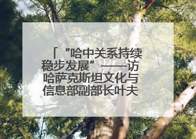 “哈中关系持续稳步发展”——访哈萨克斯坦文化与信息部副部长叶夫根尼·科切托夫
