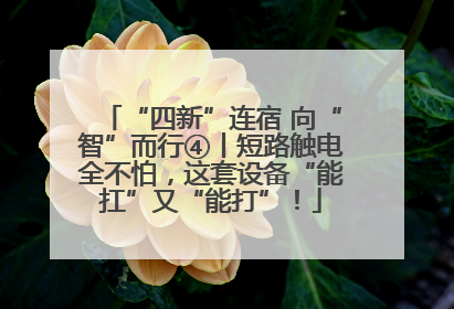 “四新”连宿 向“智”而行④丨短路触电全不怕，这套设备“能扛”又“能打”！