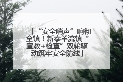 “安全哨声”响彻全镇！新泰羊流镇“宣教+检查”双轮驱动筑牢安全防线