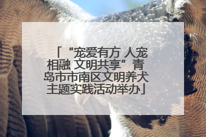 “宠爱有方 人宠相融 文明共享”青岛市市南区文明养犬主题实践活动举办