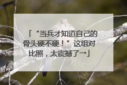 “当兵才知道自己的骨头硬不硬！”这组对比照，太震撼了→