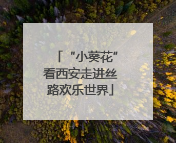“小葵花”看西安走进丝路欢乐世界