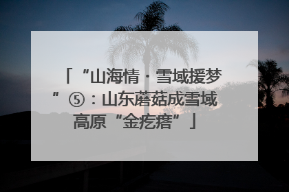 “山海情・雪域援梦”⑤：山东蘑菇成雪域高原“金疙瘩”