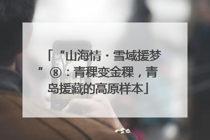 “山海情・雪域援梦”⑧：青稞变金稞，青岛援藏的高原样本