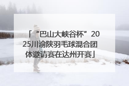“巴山大峡谷杯”2025川渝陕羽毛球混合团体邀请赛在达州开赛