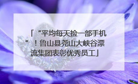 “平均每天捡一部手机”！鲁山县尧山大峡谷漂流集团表彰优秀员工
