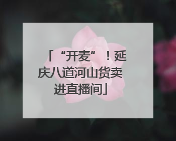 “开麦”！延庆八道河山货卖进直播间