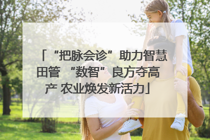 “把脉会诊”助力智慧田管 “数智”良方夺高产 农业焕发新活力