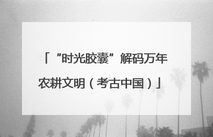 “时光胶囊”解码万年农耕文明（考古中国）