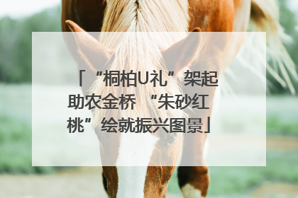“桐柏U礼”架起助农金桥 “朱砂红桃”绘就振兴图景