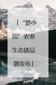 “楚小田”农业生态链品牌发布