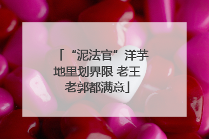 “泥法官”洋芋地里划界限 老王老郭都满意