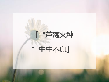 “芦荡火种”生生不息
