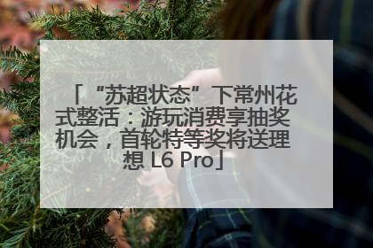 “苏超状态”下常州花式整活：游玩消费享抽奖机会，首轮特等奖将送理想 L6 Pro
