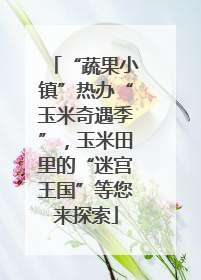 “蔬果小镇”热办“玉米奇遇季”，玉米田里的“迷宫王国”等您来探索