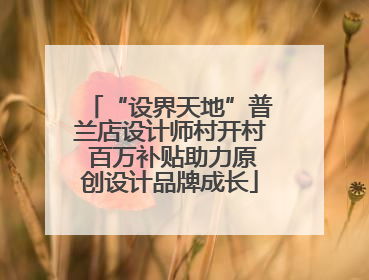 “设界天地”普兰店设计师村开村 百万补贴助力原创设计品牌成长