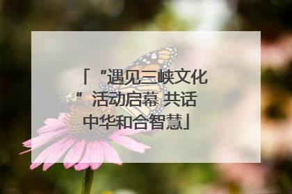 “遇见三峡文化”活动启幕 共话中华和合智慧