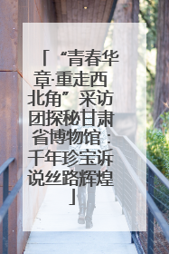 “青春华章·重走西北角”采访团探秘甘肃省博物馆：千年珍宝诉说丝路辉煌