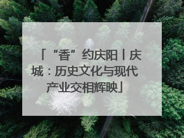 “香”约庆阳丨庆城：历史文化与现代产业交相辉映