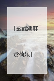 玄武湖畔赏荷乐