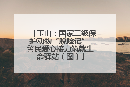 玉山：国家二级保护动物“脱险记” 警民爱心接力筑就生命驿站（图）