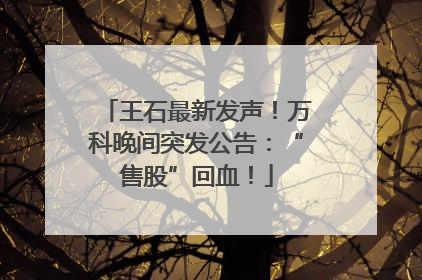 王石最新发声！万科晚间突发公告：“售股”回血！