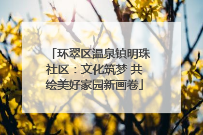 环翠区温泉镇明珠社区：文化筑梦 共绘美好家园新画卷