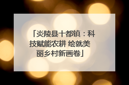 炎陵县十都镇：科技赋能农耕 绘就美丽乡村新画卷