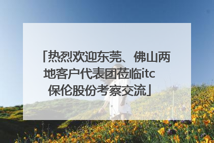 热烈欢迎东莞、佛山两地客户代表团莅临itc保伦股份考察交流