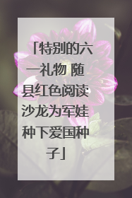 特别的六一礼物 随县红色阅读沙龙为军娃种下爱国种子