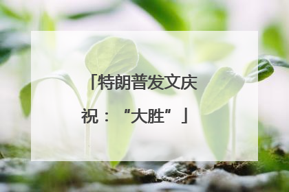 特朗普发文庆祝：“大胜”